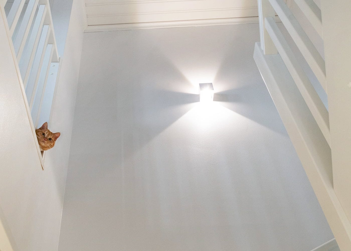 Blog - LedStore