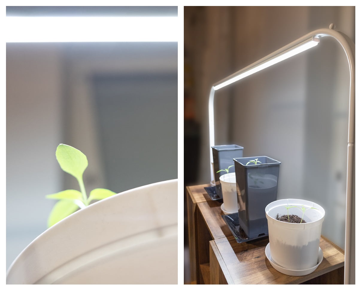Blog - LedStore