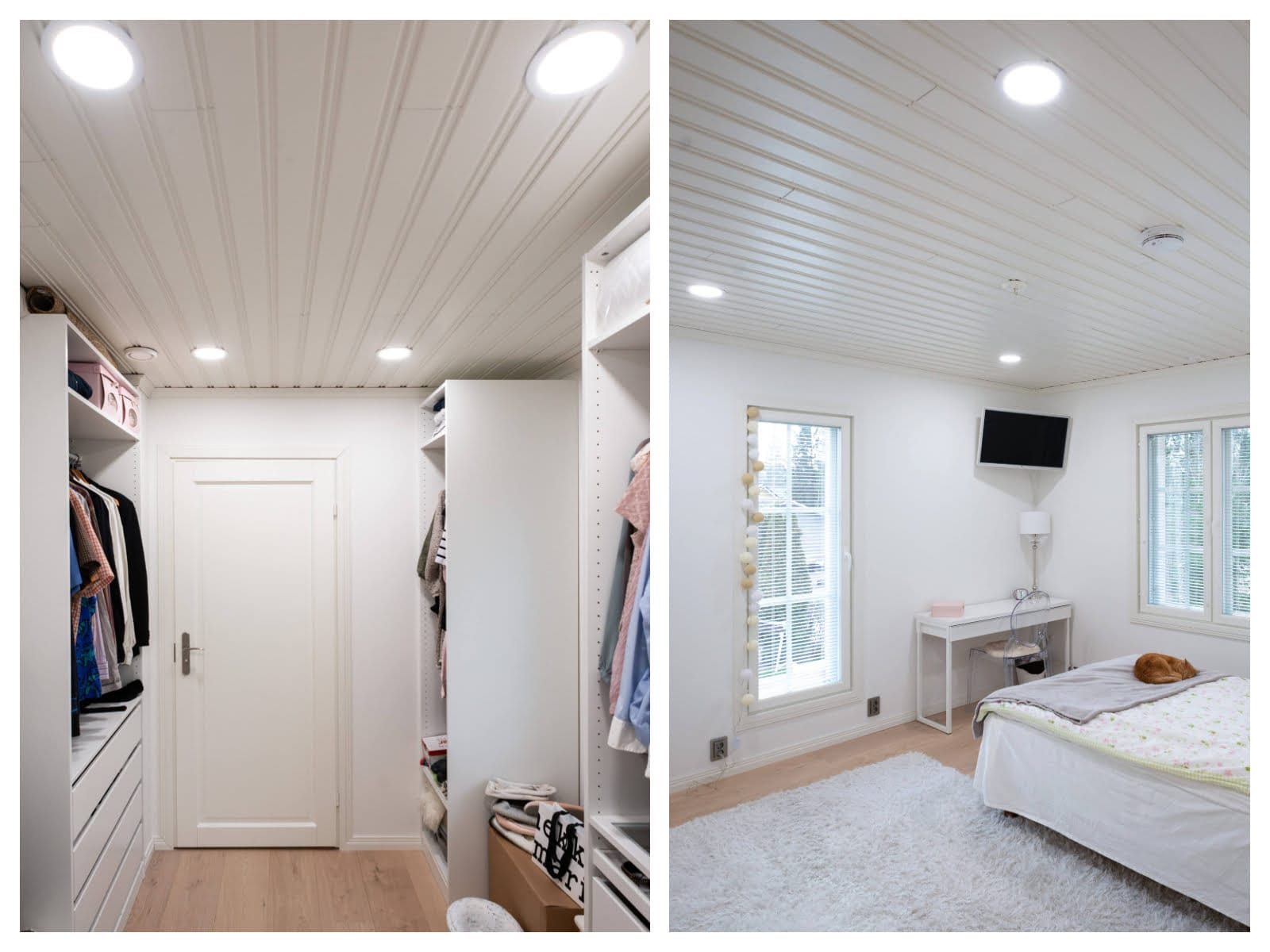 Blog - LedStore