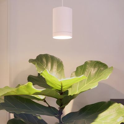 LED KASVIVALO FOKUS, 5-portainen CCT 2700K-6000K, himmennettävä, 30W, IP20, CRI98, mattavalkoinen