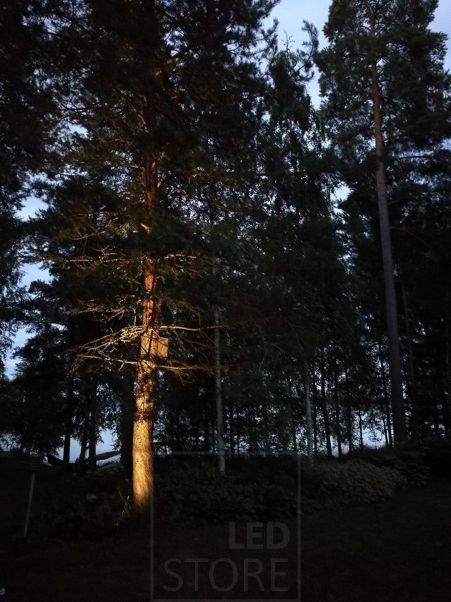Ulkona puu valaistu suunnattavalla maapiikki-valaisimella. Ledstore.fi