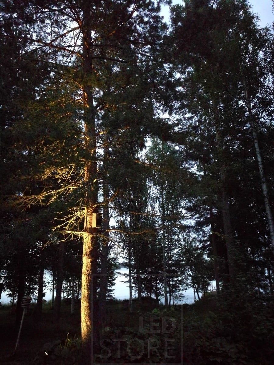 Puu valaistuna suunnattavalla maapiikillä. Ledstore.fi