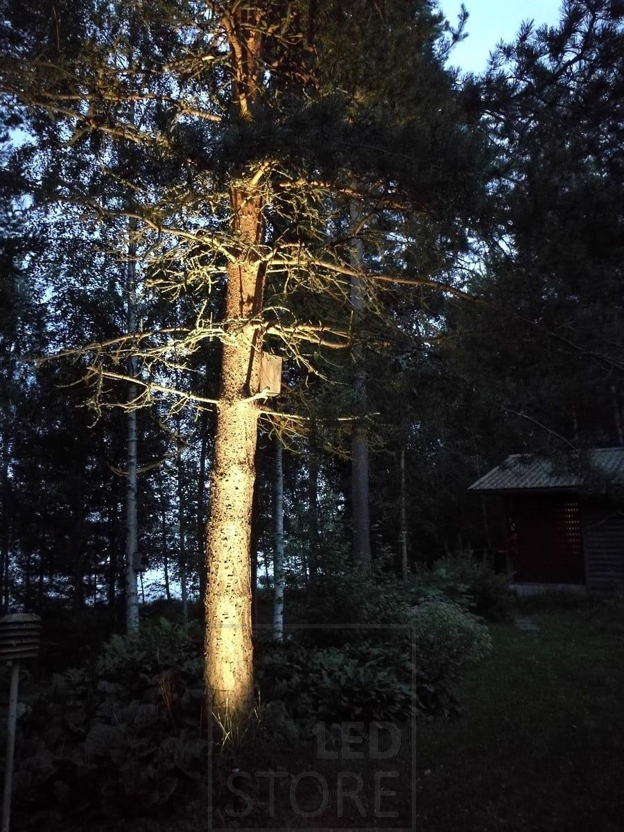 Puun valaiseminen ja korostaminen maapiikki-valaisimella. Ledstore.fi