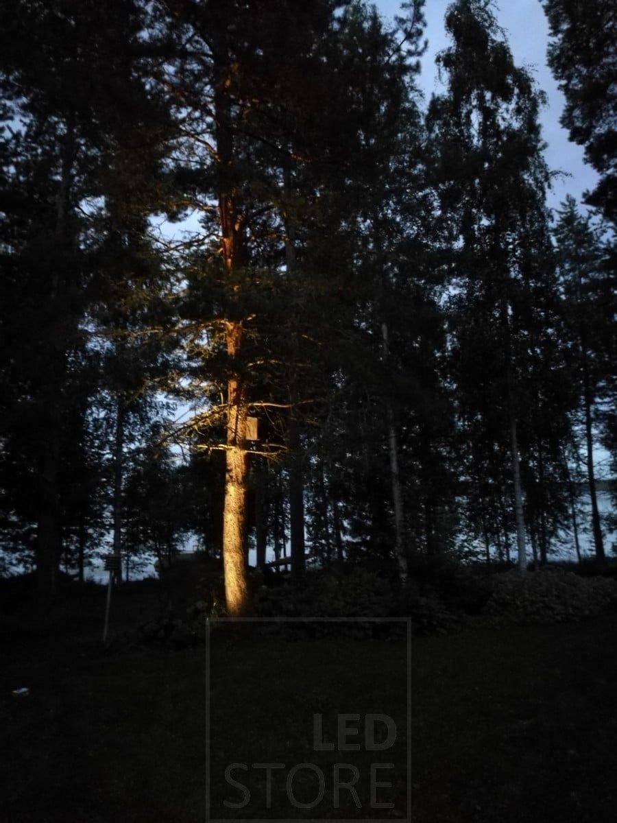 Puun korostusvalo maapiikki-valaisimella. Ledstore.fi